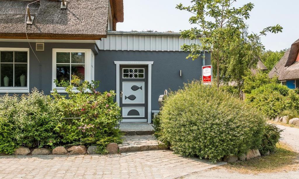Freischwimmer Wieck Exterior foto